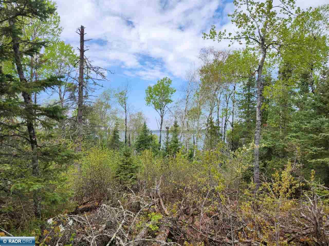 5375 Ely Island N Tower MN 55790 - Vermilion 149815 image10