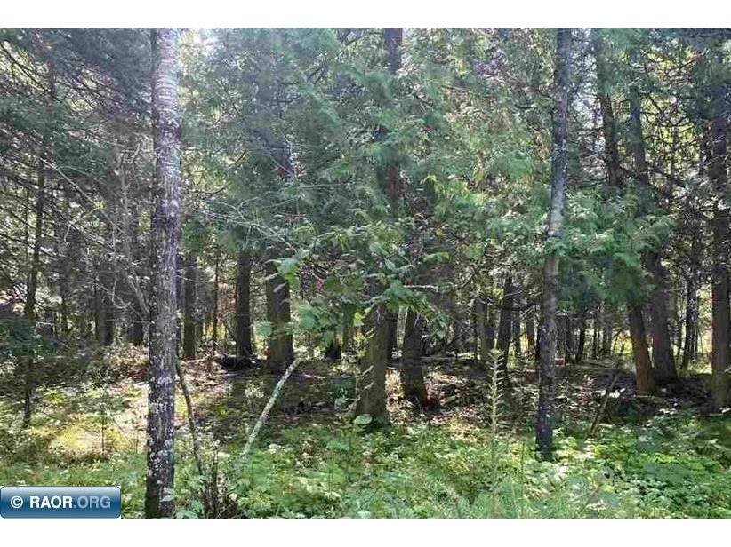 5375 Ely Island N Tower MN 55790 - Vermilion 149815 image9