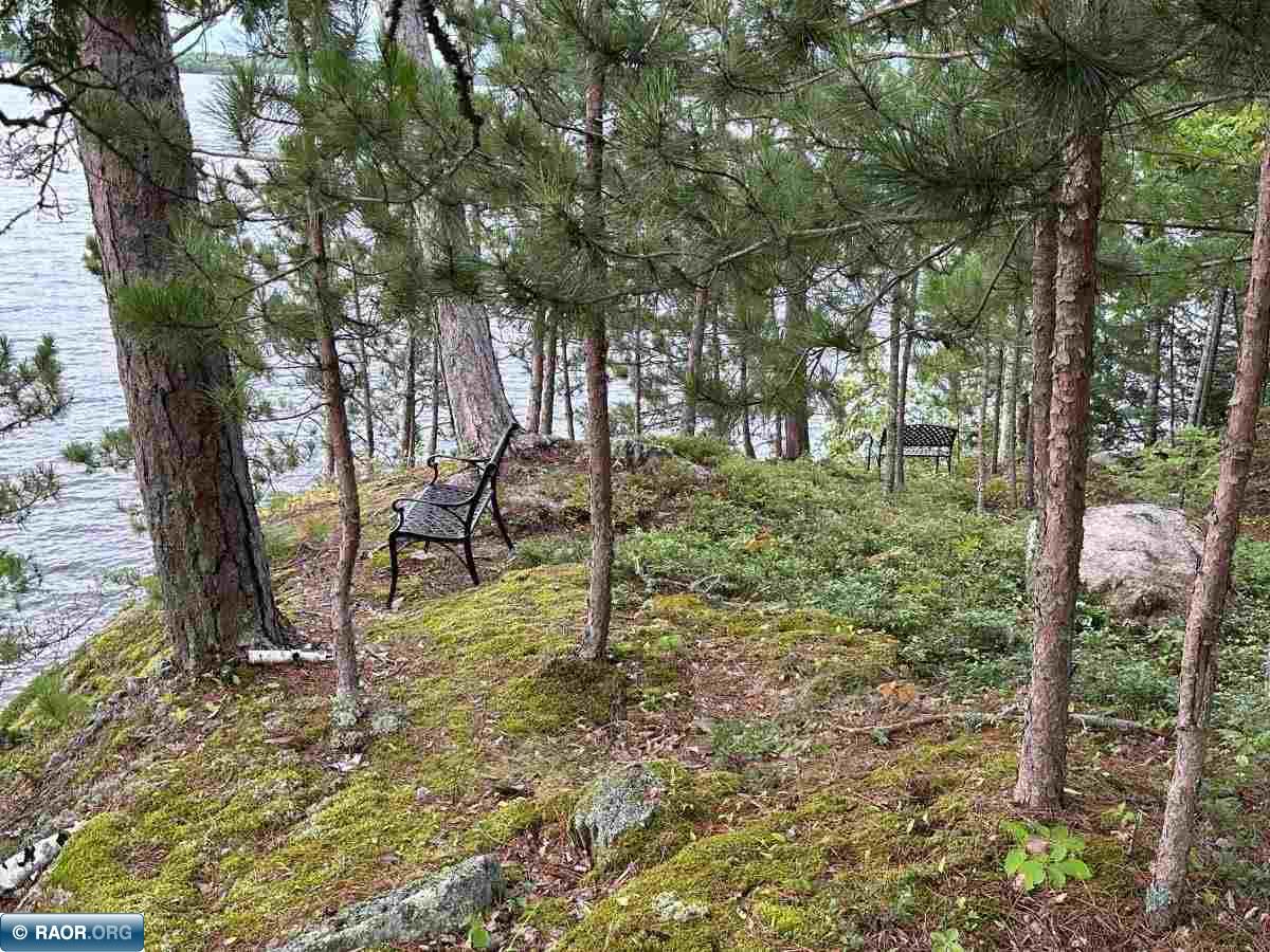 5441 Ely Island N Tower MN 55790 - Vermilion 149840 image20