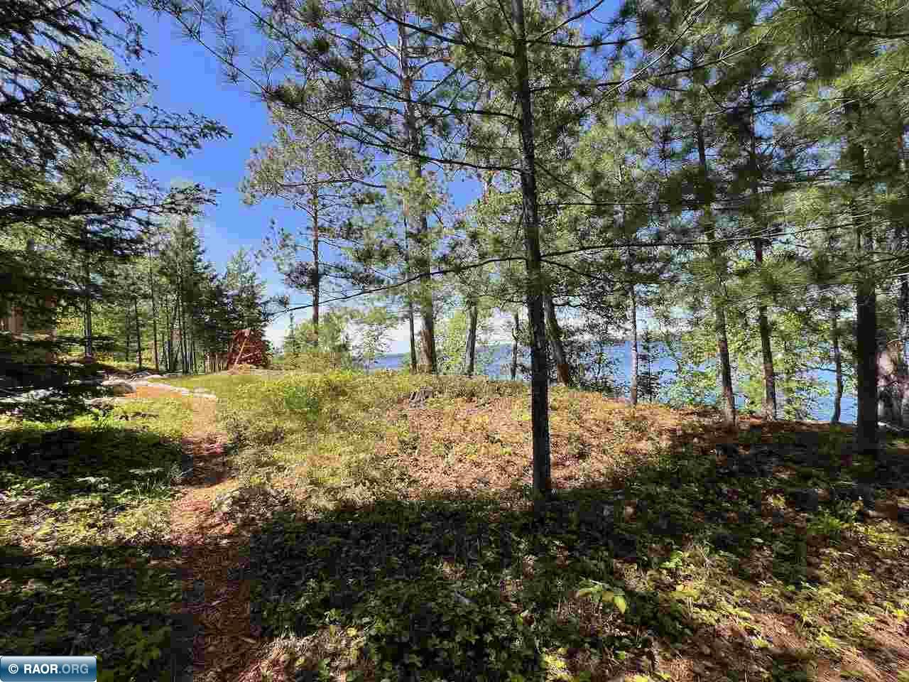 5441 Ely Island N Tower MN 55790 - Vermilion 149840 image41