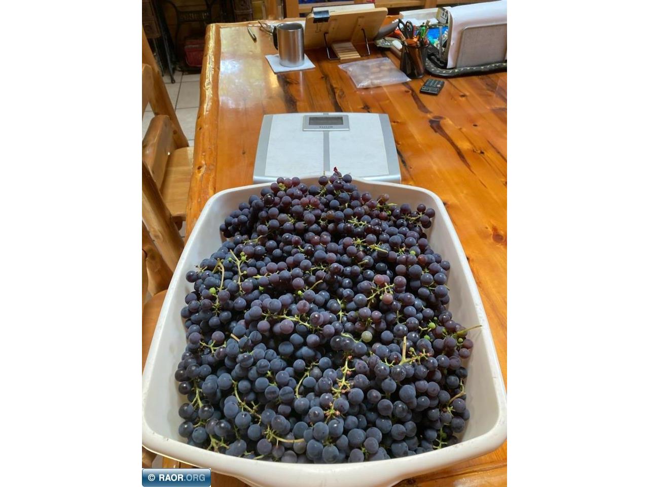 5876 Meander Lake Rd Orr MN 55771 148338 image26