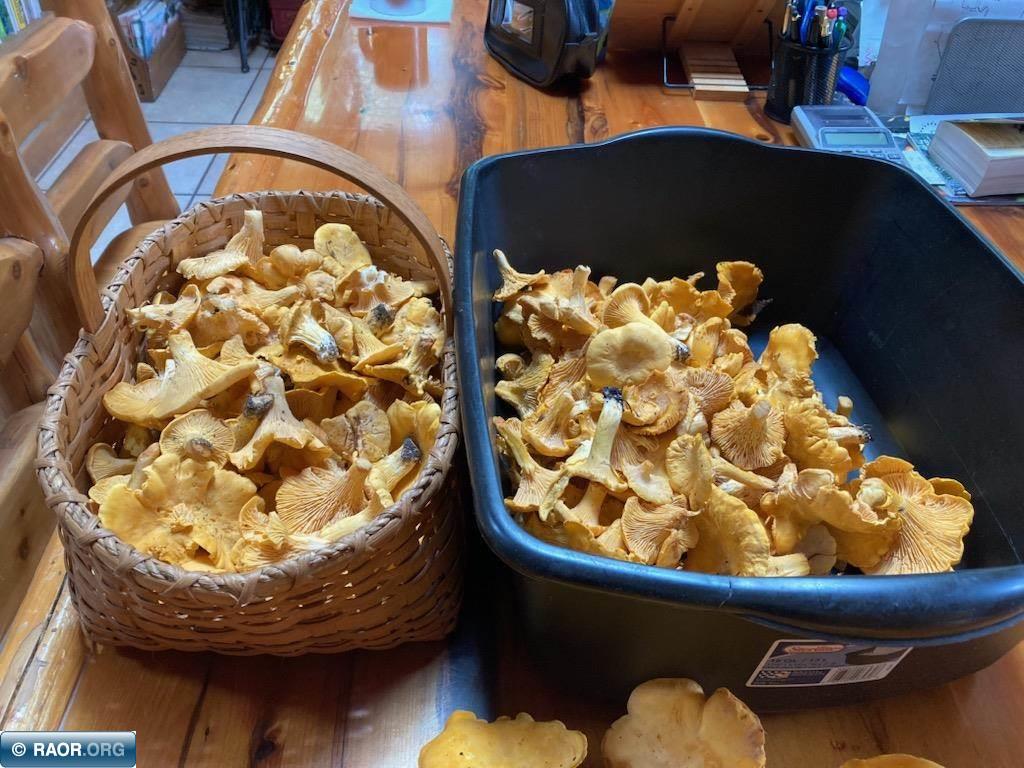 5876 Meander Lake Rd Orr MN 55771 148338 image29