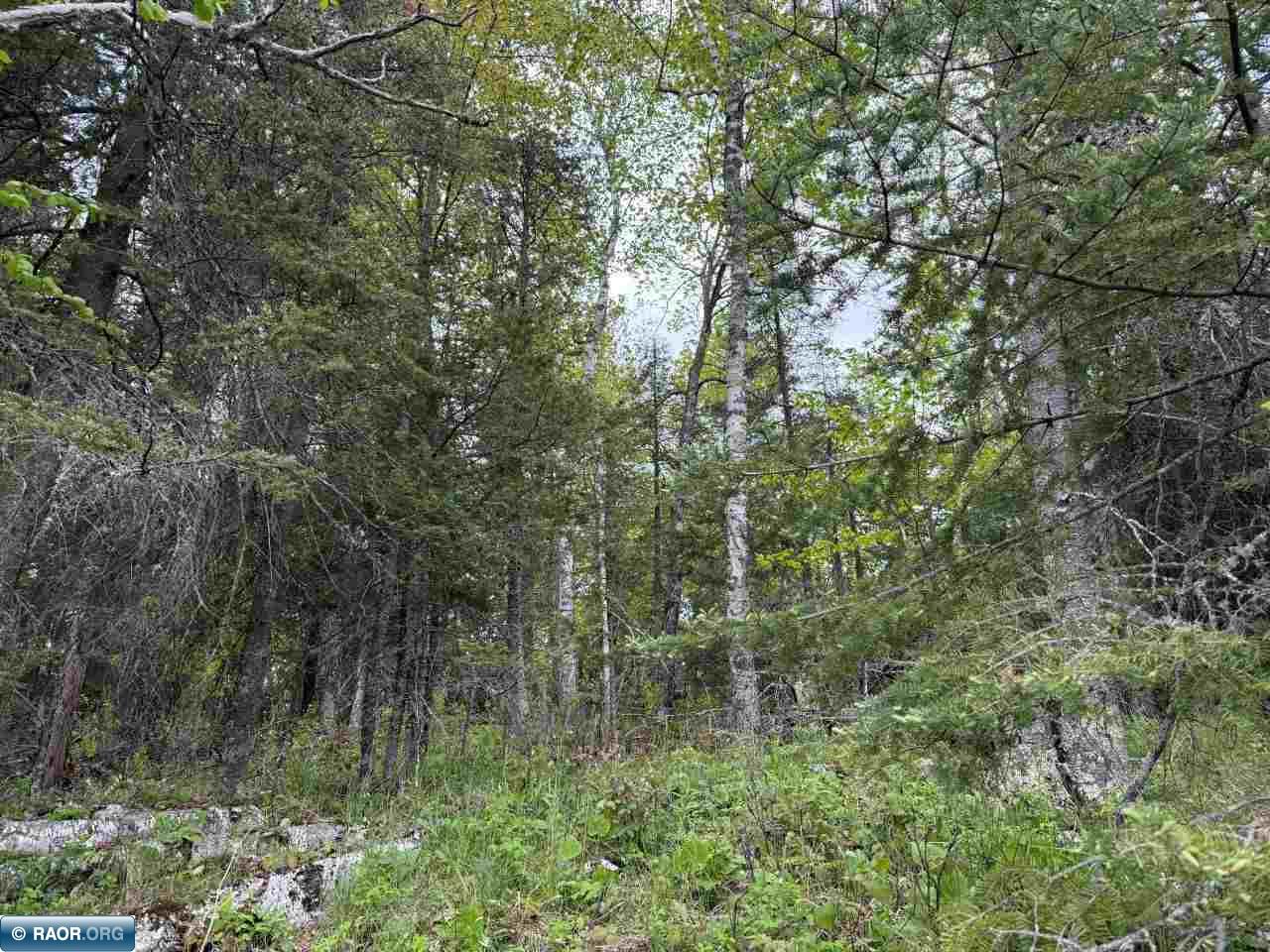 59XX Long Lake Rd Makinen MN 55763 - Long Lake 148426 image10