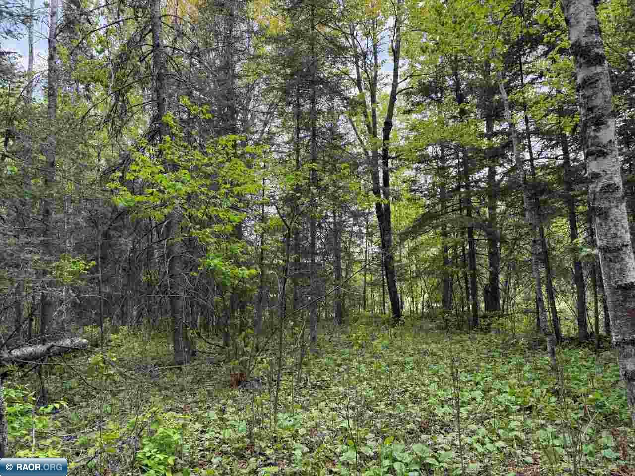 59XX Long Lake Rd Makinen MN 55763 - Long Lake 148426 image11