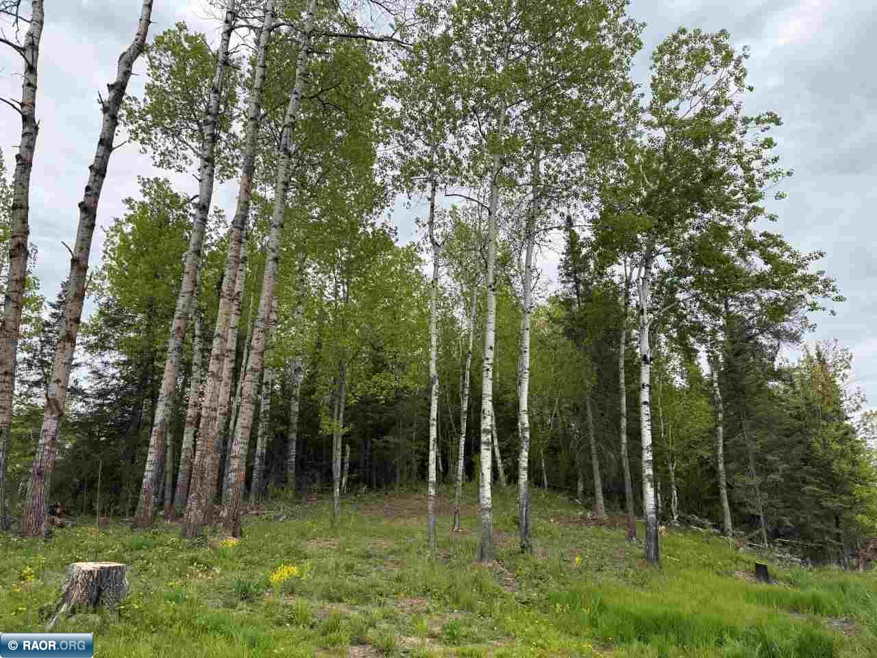 59XX Long Lake Rd Makinen MN 55763 - Long Lake 148426 image4