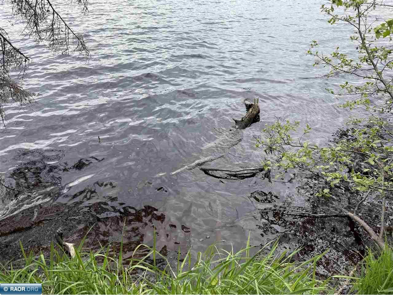 59XX Long Lake Rd Makinen MN 55763 - Long Lake 148426 image5