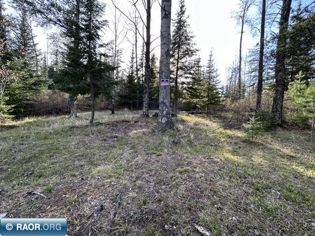 6413 E Barker Rd Gilbert MN 55741 - Whiteface 150098 image13