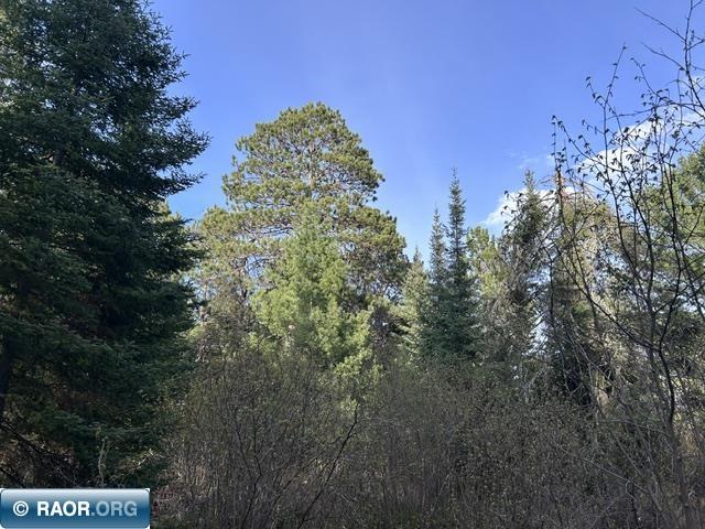 6413 E Barker Rd Gilbert MN 55741 - Whiteface 150098 image16
