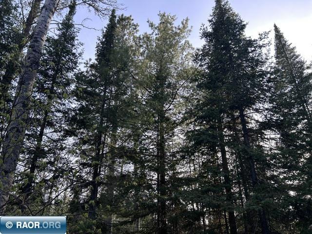 6413 E Barker Rd Gilbert MN 55741 - Whiteface 150098 image17