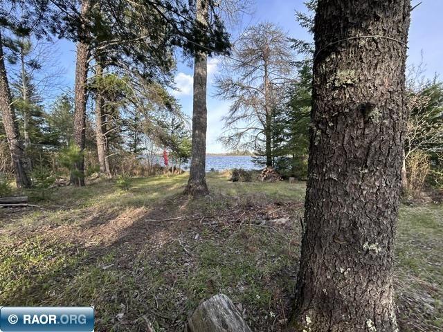 6413 E Barker Rd Gilbert MN 55741 - Whiteface 150098 image18