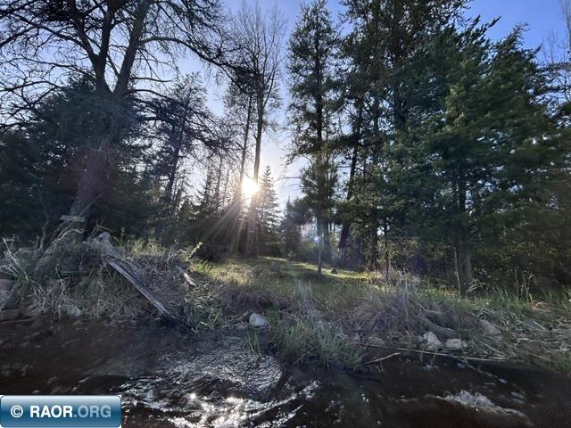 6413 E Barker Rd Gilbert MN 55741 - Whiteface 150098 image9