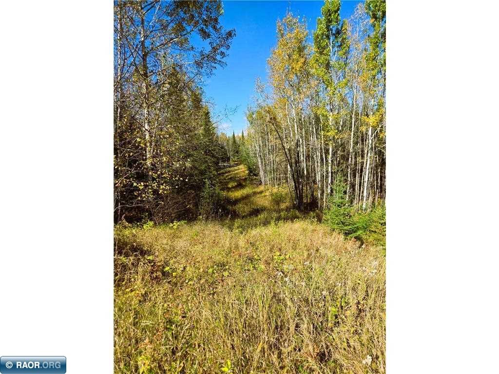 6457 Colombe Road Chisholm MN 55719 150008 image16
