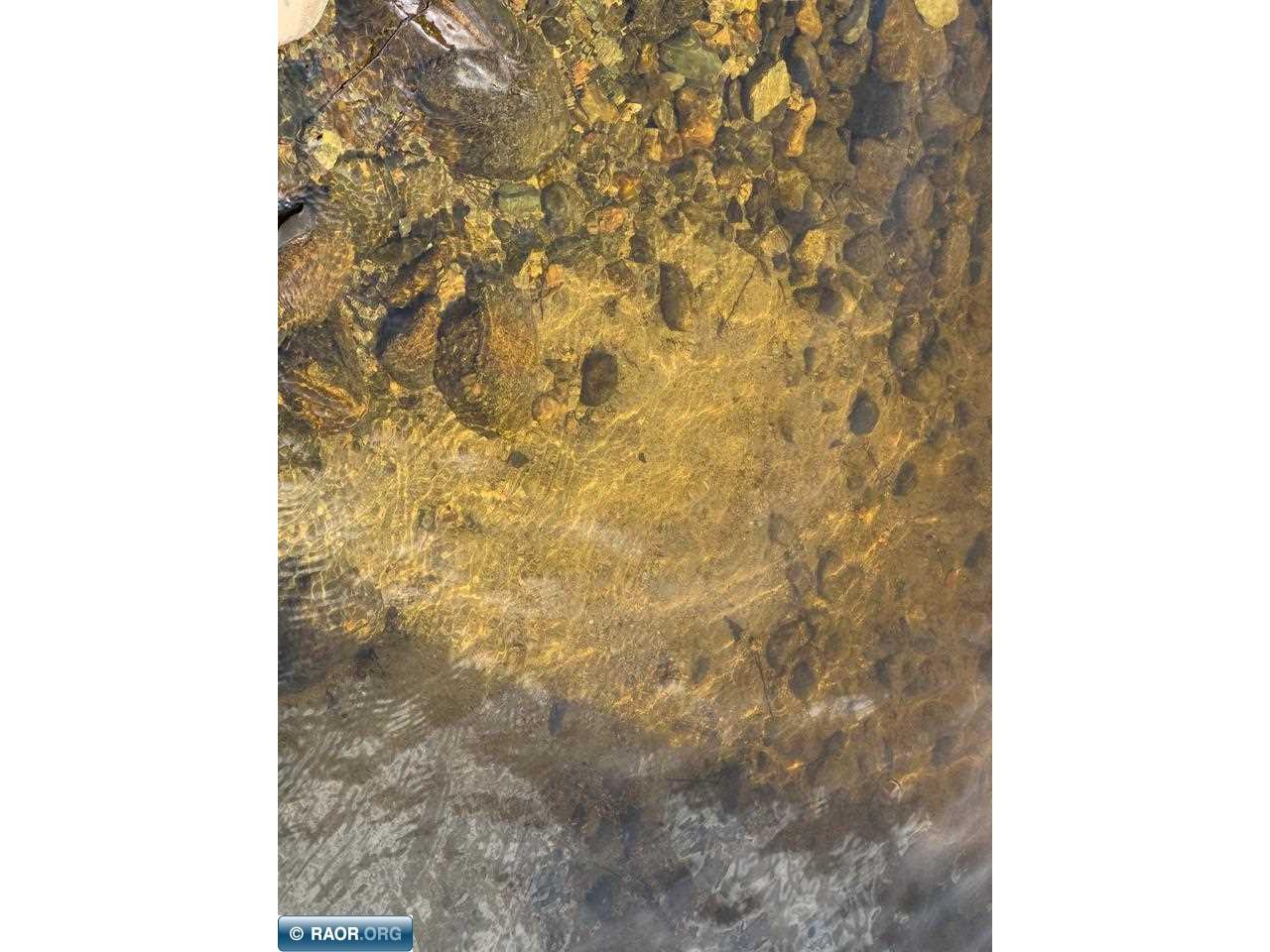 6476 Cypress Lane Gilbert MN 55741 - Eshquaguma 148484 image36