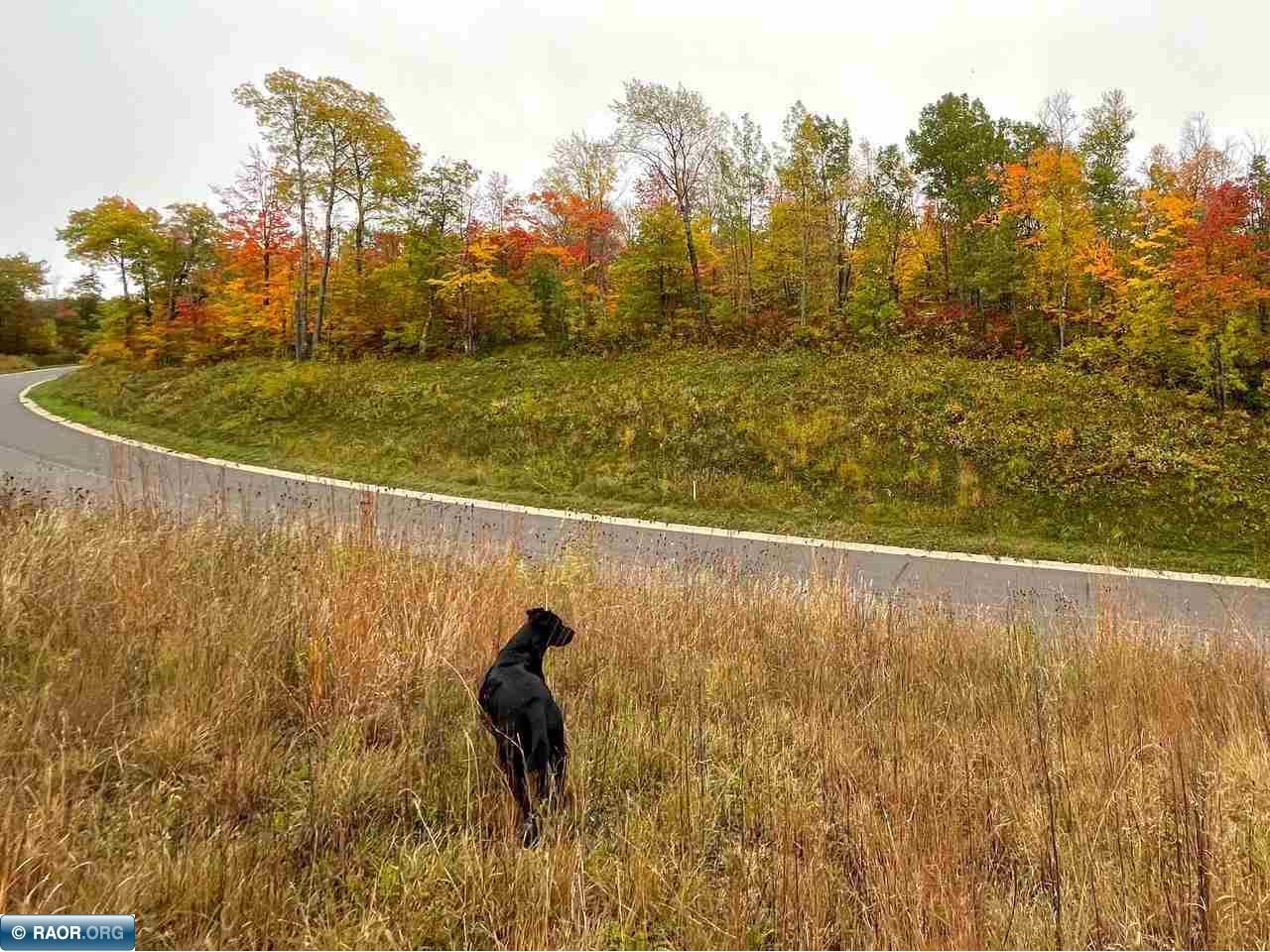 6661 Voyageurs Trail Biwabik MN 55705 150071 image14