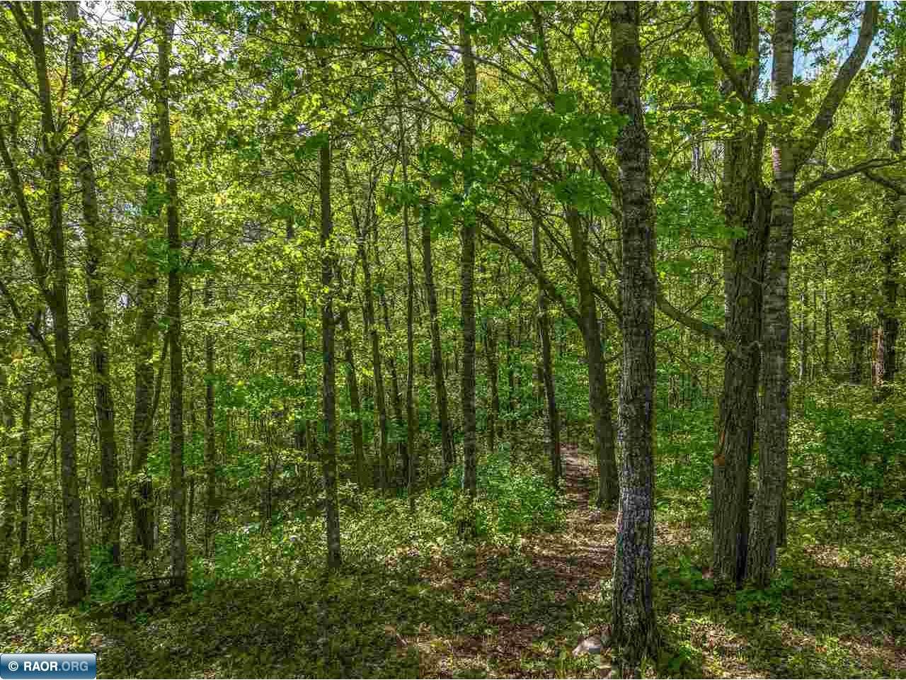 6661 Voyageurs Trail Biwabik MN 55705 150071 image39