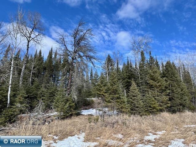 6679 Wahlsten Rd Tower MN 55790 149644 image1