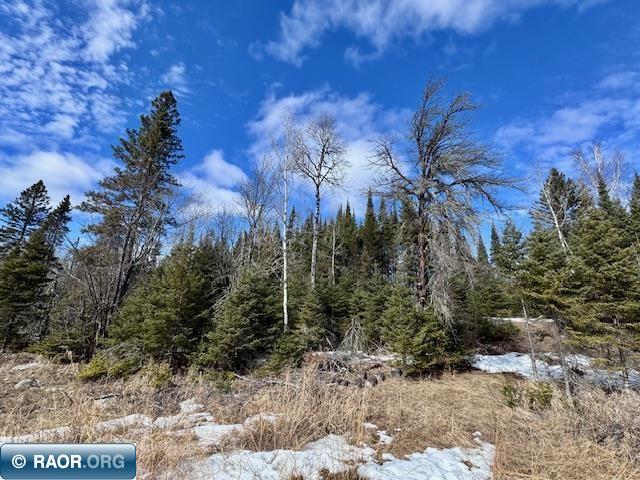 6679 Wahlsten Rd Tower MN 55790 149644 image8