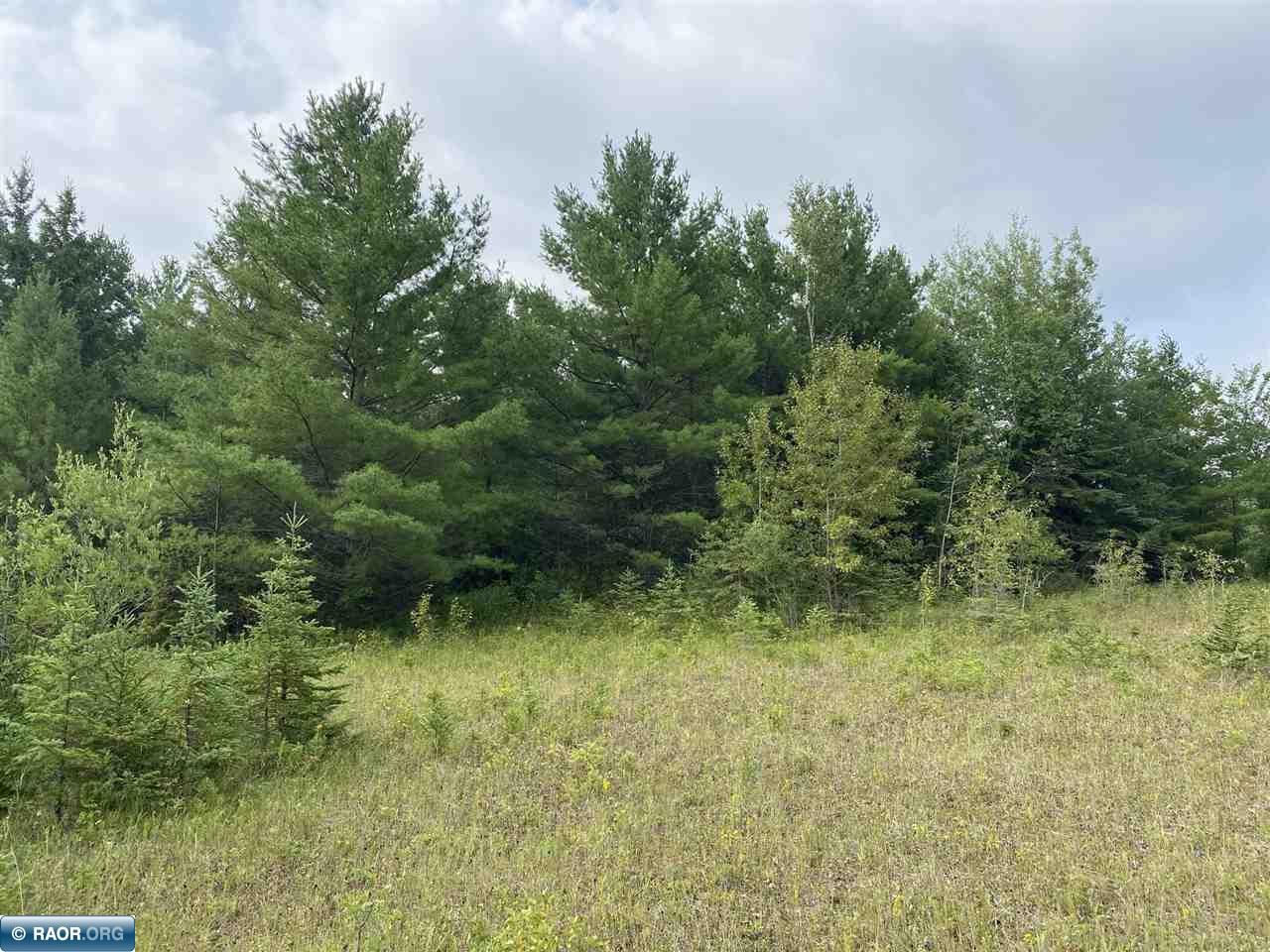 66xxx Anderson Addition Rd, Northome, MN, 56661 MLS 146893 Edina