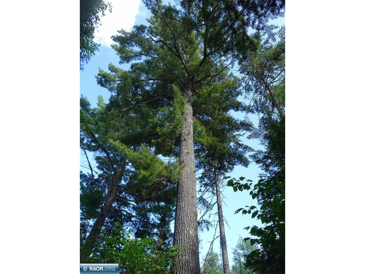 6701 Koski Road Tower MN 55790 - Pike River 147278 image22