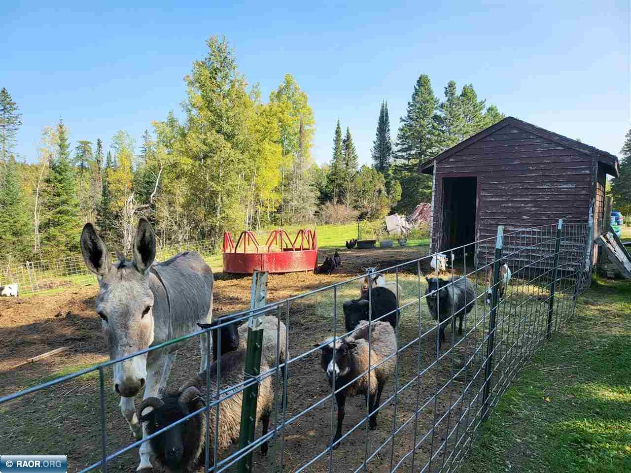 6821 Barrett Rd. Chisholm MN 55719 149254 image17