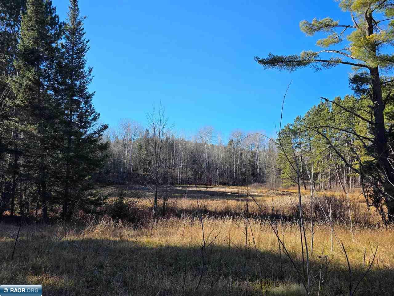 6821 Barrett Rd. Chisholm MN 55719 149254 image32