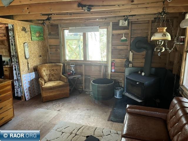 7168 Gold Mine Rd. Orr MN 55771 - Vermilion River 150214 image18