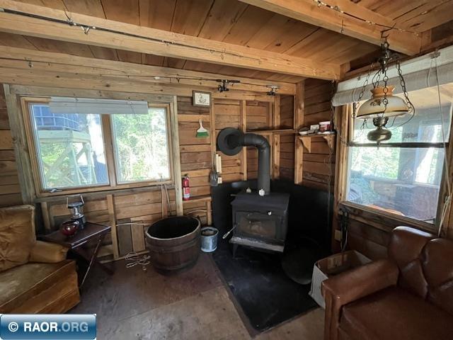 7168 Gold Mine Rd. Orr MN 55771 - Vermilion River 150214 image20
