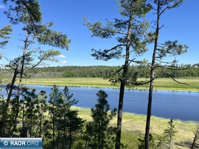 7168 Gold Mine Rd. Orr MN 55771 - Vermilion River 150214 image3