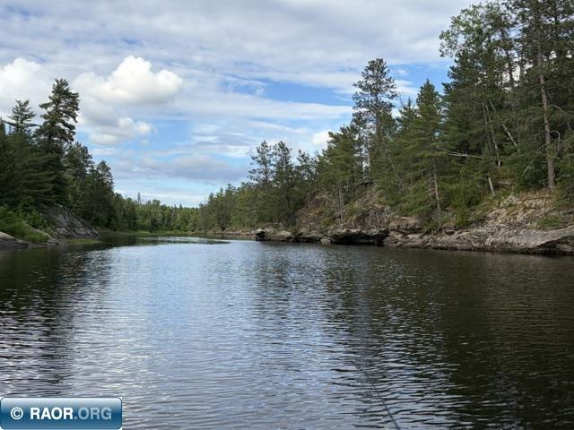 7168 Gold Mine Rd. Orr MN 55771 - Vermilion River 150214 image35
