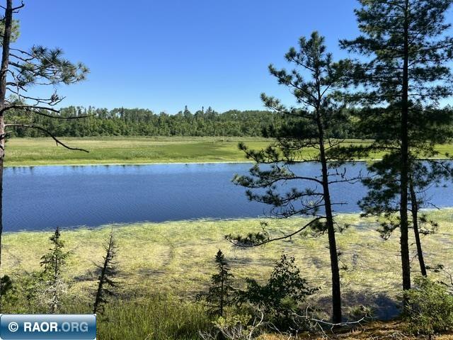 7168 Gold Mine Rd. Orr MN 55771 - Vermilion River 150214 image4