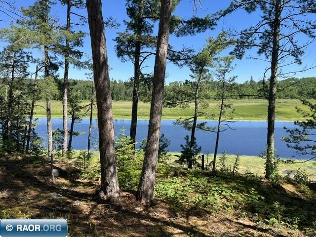 7168 Gold Mine Rd. Orr MN 55771 - Vermilion River 150214 image5