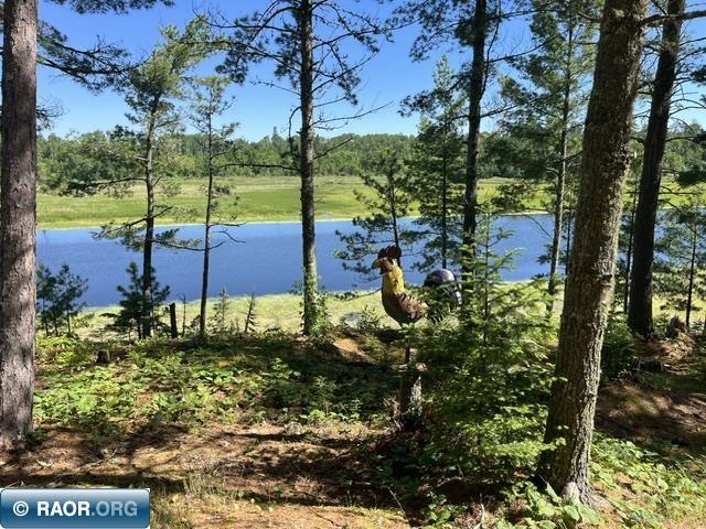 7168 Gold Mine Rd. Orr MN 55771 - Vermilion River 150214 image6