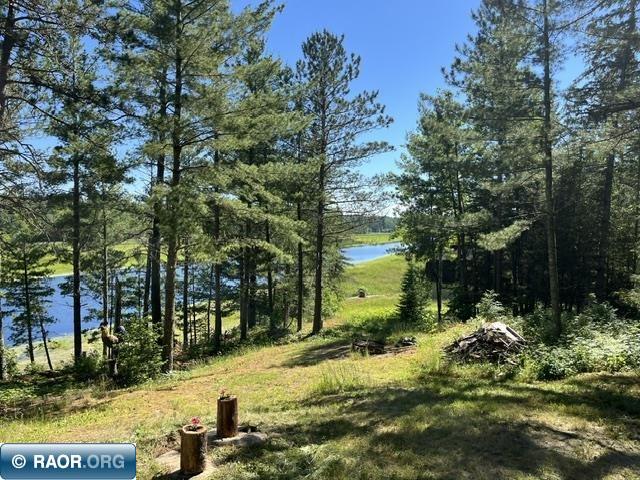 7168 Gold Mine Rd. Orr MN 55771 - Vermilion River 150214 image7