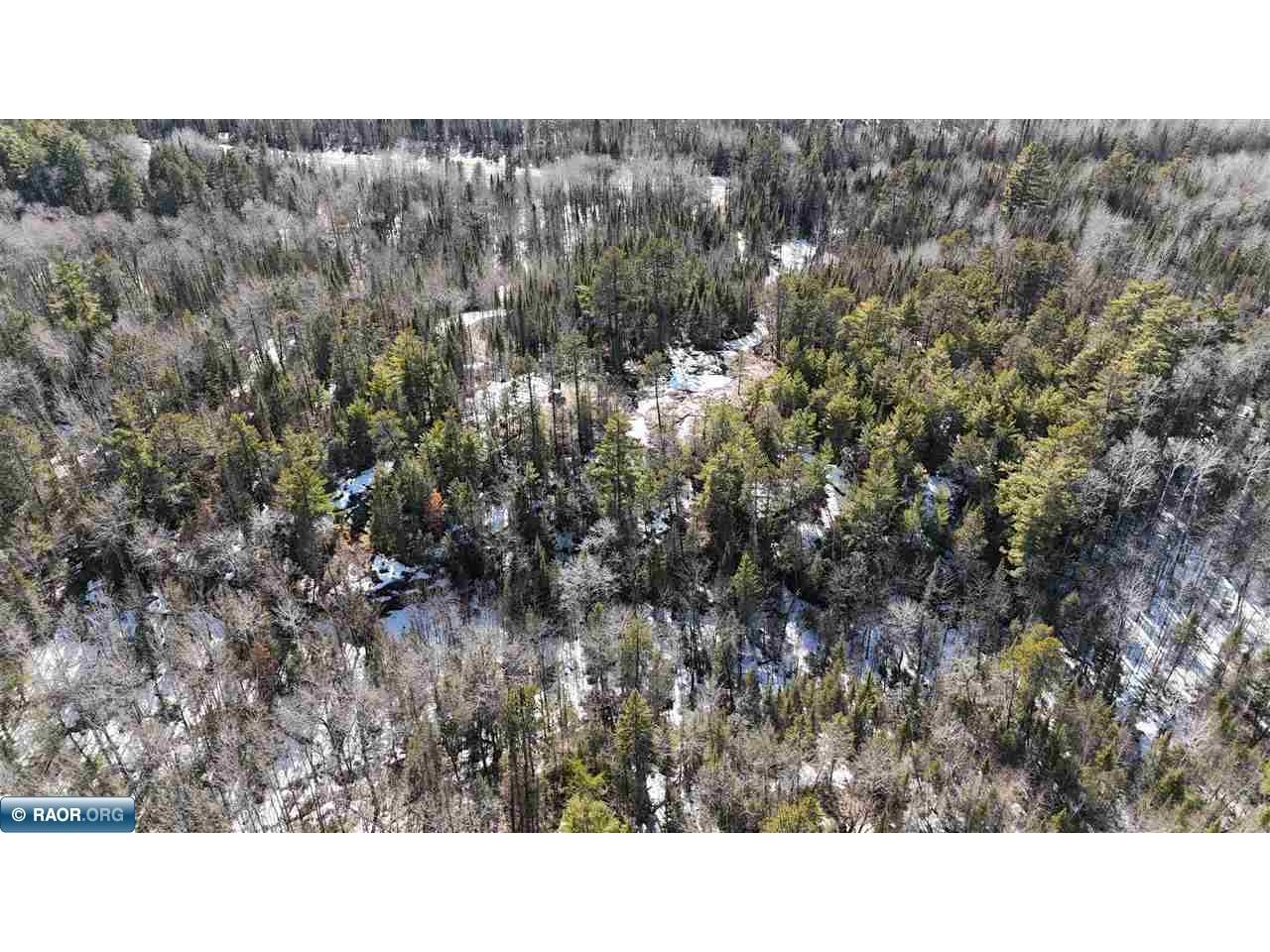 7316 Crane Lake Road Crane Lake MN 55725 148162 image20