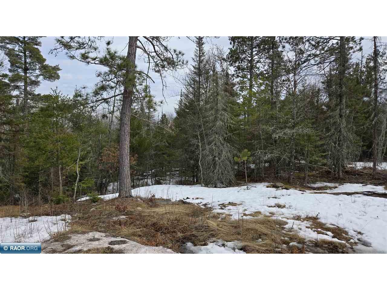 7316 Crane Lake Road Crane Lake MN 55725 148162 image4