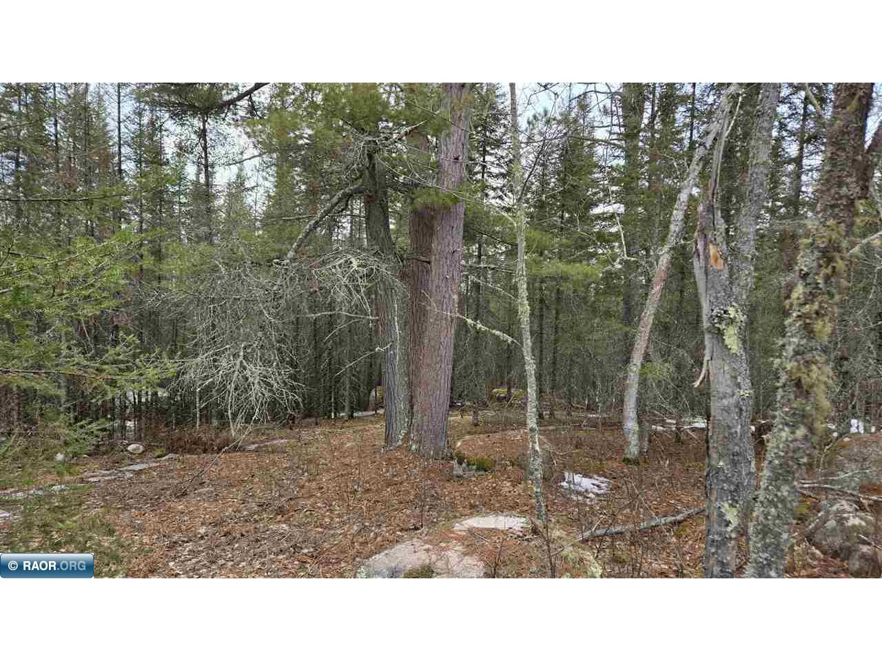 7316 Crane Lake Road Crane Lake MN 55725 148162 image5