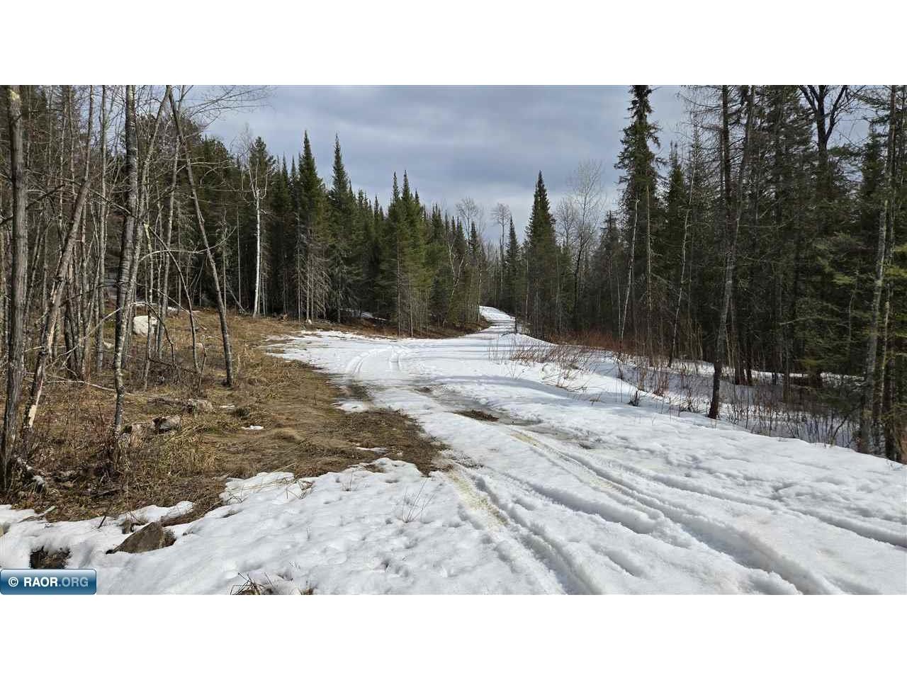 7316 Crane Lake Road Crane Lake MN 55725 148162 image8