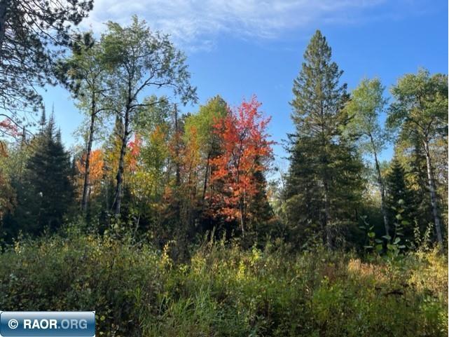 7343 Pelton Rd. Britt MN 55710 145843 image1