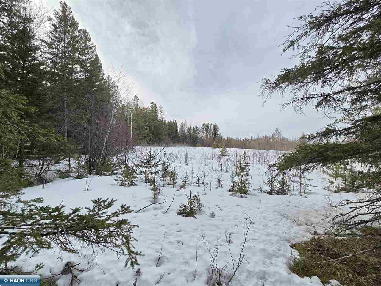 7675 Kaunonen Lake Road Embarrass MN 55732 149655 image41