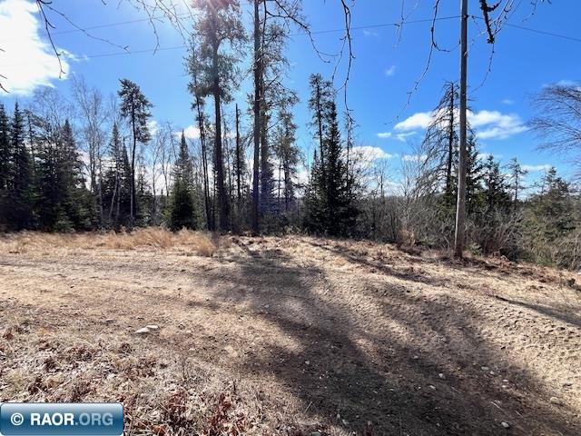 76xx Green Rock Road, Side Lake, MN, 55781 MLS 146468 Edina Realty