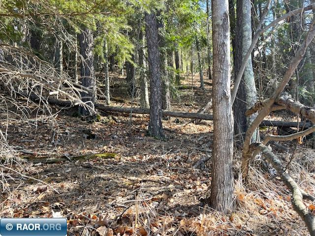 76xx Green Rock Road, Side Lake, MN, 55781 MLS 146468 Edina Realty