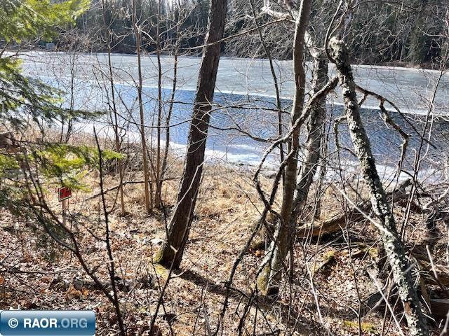 76xx Green Rock Road, Side Lake, MN, 55781 MLS 146468 Edina Realty