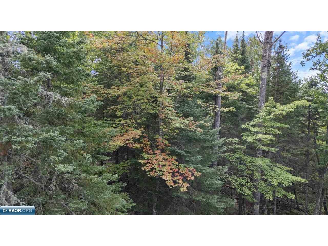 7885 Lake Fourteen Rd Britt MN 55710 148938 image33