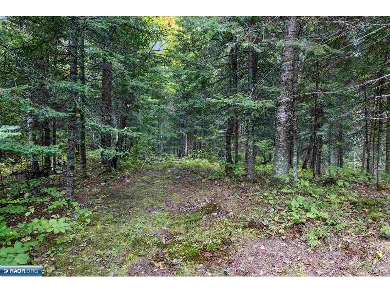 7885 Lake Fourteen Rd Britt MN 55710 148938 image37