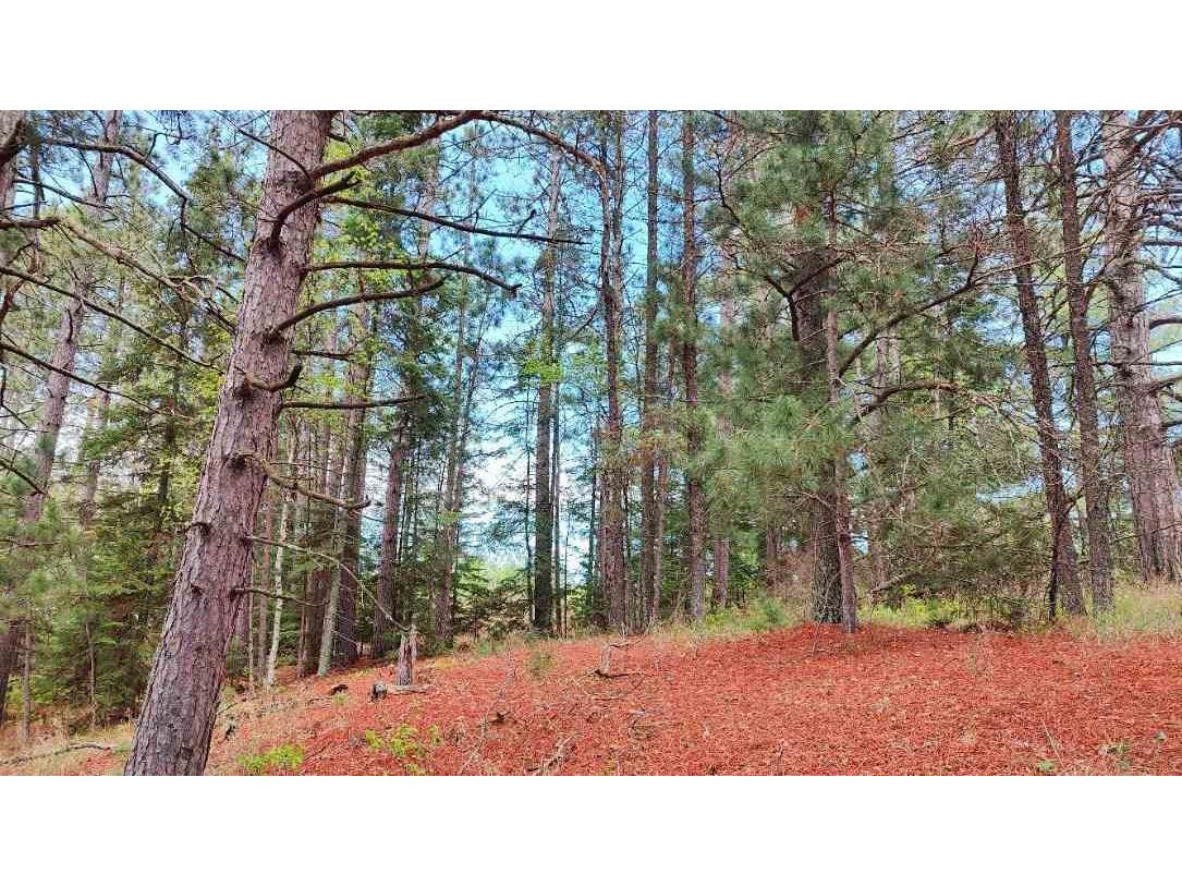 80064 Osprey Pass Tower MN 55790 - Vermilion 147925 image2