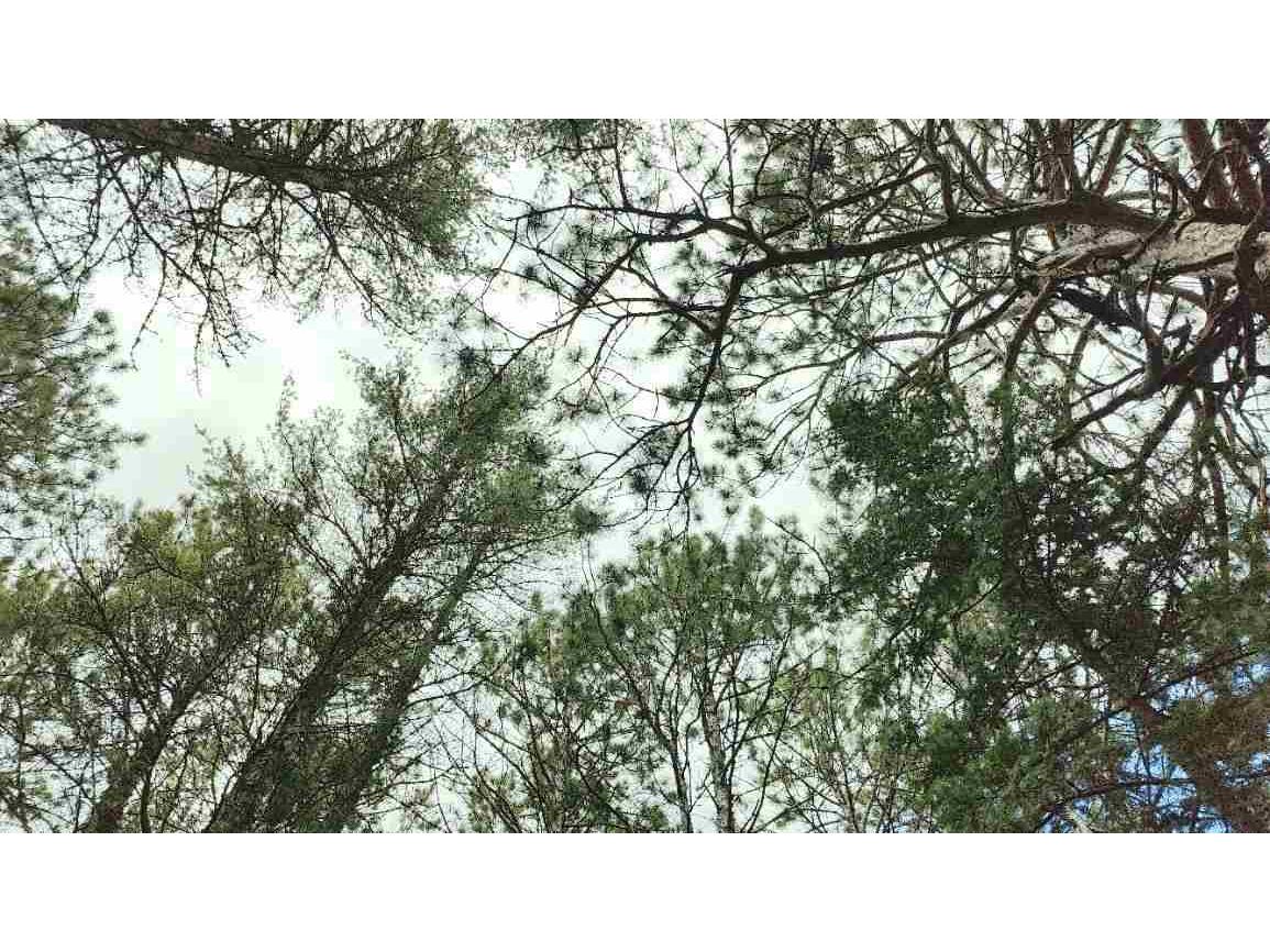 80064 Osprey Pass Tower MN 55790 - Vermilion 147925 image8