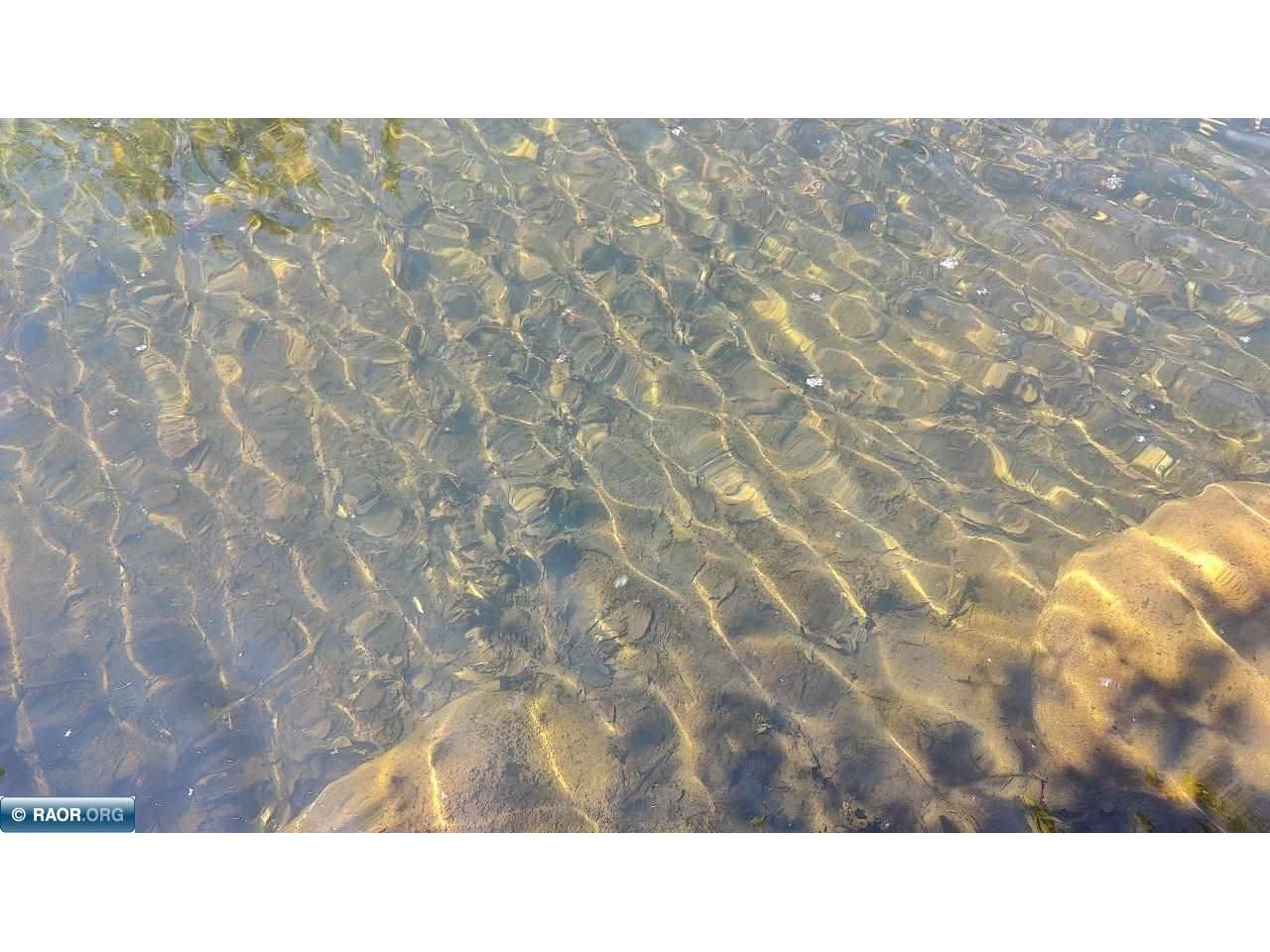 80075 Waters of Vermilion Road Tower MN 55790 - Lake Vermilion 148187 image24