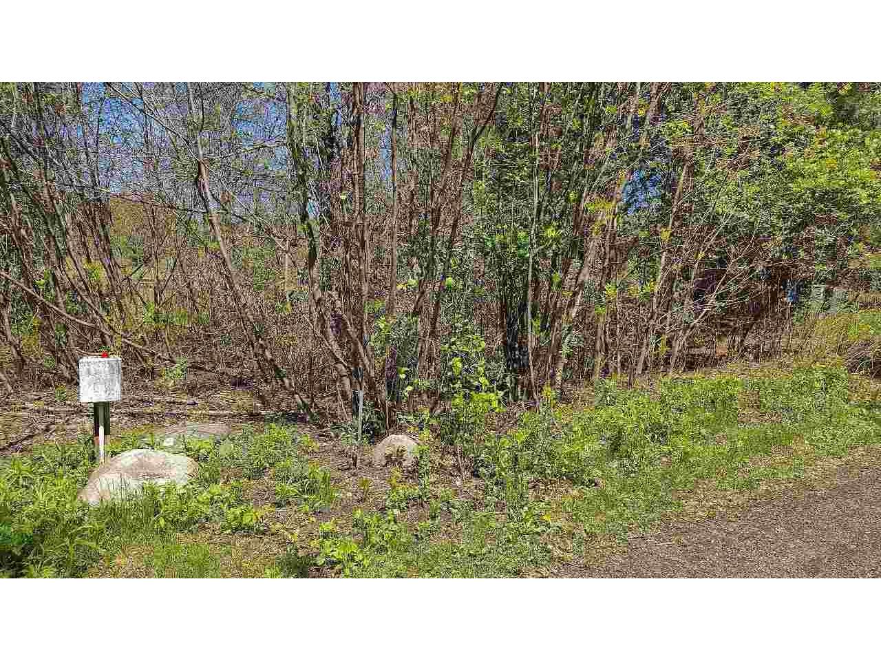 80086 Gruban Circle Tower MN 55790 - Vermilion 148024 image3