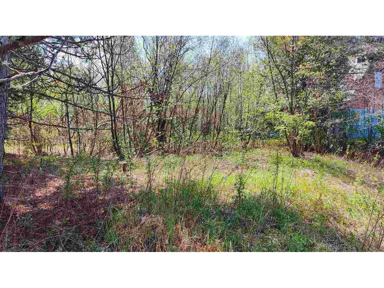 80086 Gruban Circle Tower MN 55790 - Vermilion 148024 image4