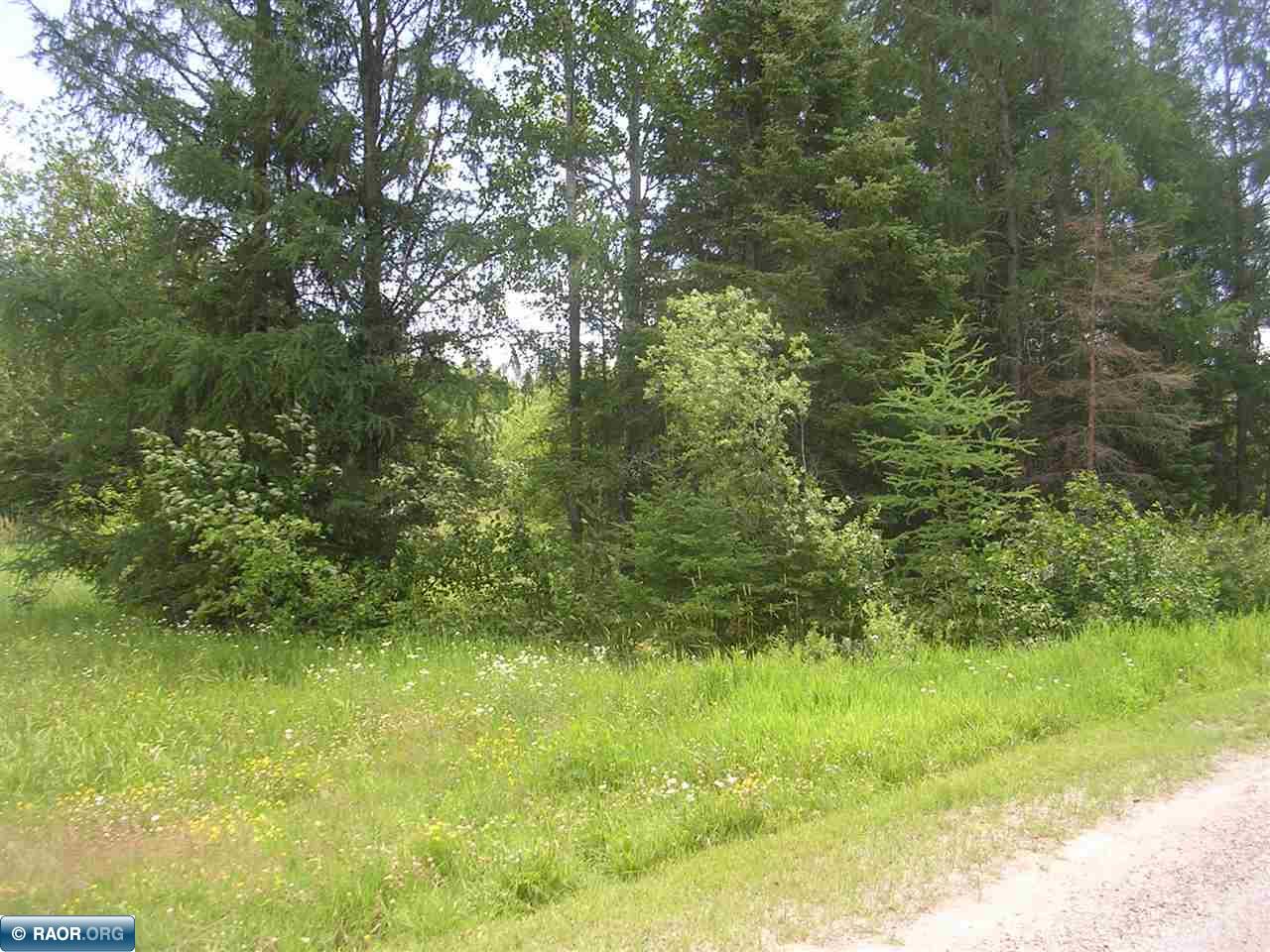 8154 Hayland Road, Embarrass, MN, 55732 MLS 139858 Edina Realty